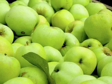 Какие продукты нельзя хранить вместе: Елена Соломатина