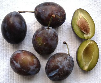 Врач Лебедева: чернослив защитит от рака кишечника