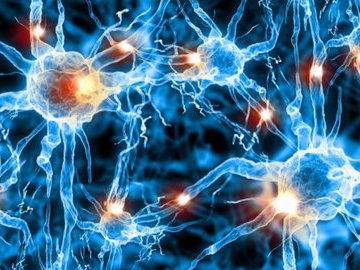 В России разработали нейросеть для поиска метастазов рака