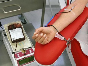Можно ли омолодить организм с помощью переливания крови?