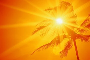 Британка приняла менингит за солнечный удар и оказалась прикована к постели