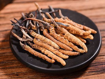 Как добавки кордицепа улучшают спортивные результаты