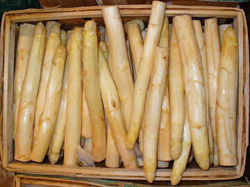 Врач Вялов: нехватка клетчатки грозит раком кишечника