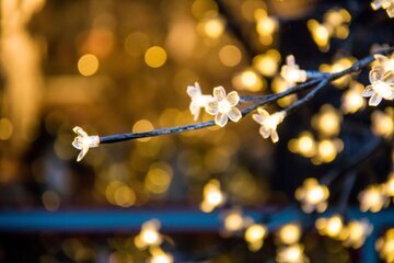 Окулист Казанцев: гирлянды вызывают головную боль