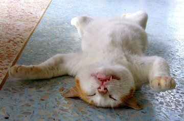 Врач Филатов: в усталости виноват гипотиреоз