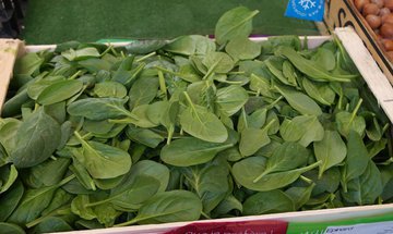 BBC: замороженный шпинат в 2 раза полезнее свежего