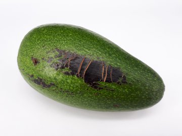 Диетолог Кованова: частые простуды указывают на дефицит белка