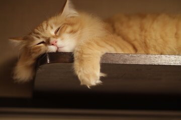 Терапевт Кондрахин: отдых тоже нужен для здоровья