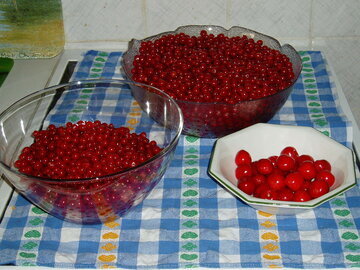 Врач Дианова: вишня и курага помогут пережить магнитные бури