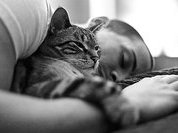 Эректильная дисфункция и синдром беспокойных ног- между ними связь