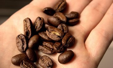 Эндокринолог Тараско: кофеин способен ухудшить концентрацию внимания