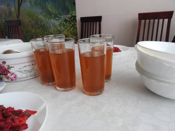 Врач Меркулова: шашлык лучше запивать морсом или компотом