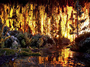 Цвет отвечает буквально за все