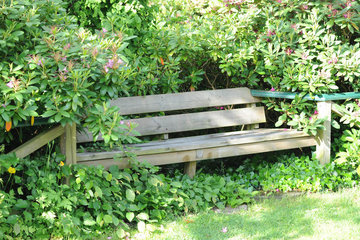 Гериатр Ткачева запретила пожилым дачникам работать на износ