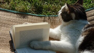 Врач Мясников: чтение книг развивает