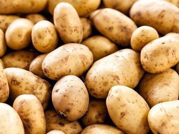 Оптимальные сочетания продуктов для эффективного похудения: Советы от кардиолога