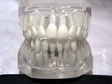 Врач Обухова: кислая еда усилит чувствительность зубов