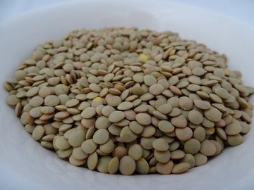Эндокринолог Павлова: бобовые и морепродукты сохранят здоровье мозга