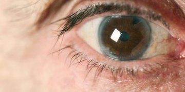 Диабет, близорукость, половая принадлежность, возраст и другие причины развития глаукомы