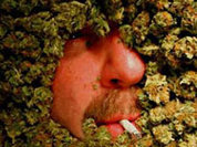 Марихуана скрывается в организме годами