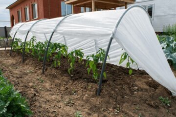 Кардиолог Дикур: спорт в течение года защитит дачников от инфаркта