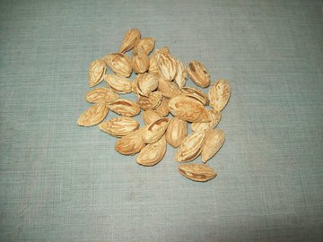 Офтальмолог Тимофеева: миндаль и морепродукты защищают зрение
