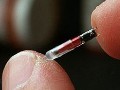 Микрочипы могут нанести вред здоровью
