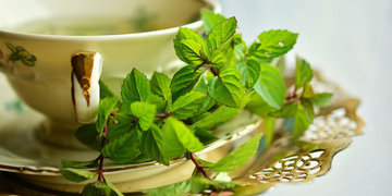 Чашка ароматного чая из мяты помогает побороть нервозность и раздражительность