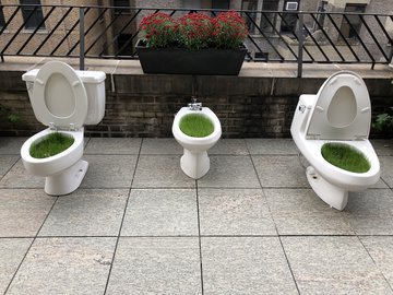 Врач Невольникова: запоры появляются при сбое щитовидной железы