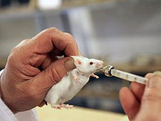 Избавиться от диабета можно будет с помощью одного укола?