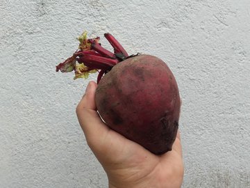 Профессор Кутушов: яблоки и свекла выводят яды из организма