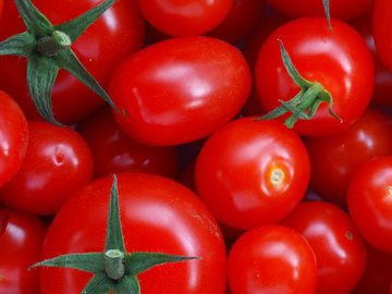 Польза и вред помидоров: Разбираем споры о натуральных сокровищах сада