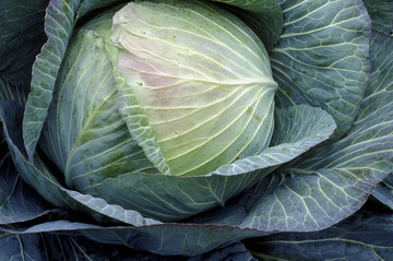 Названы 5 продуктов, которые вызывают больше всего газообразования