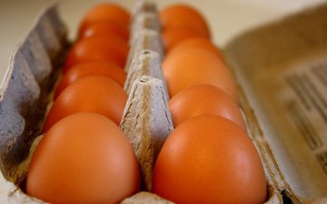 Нутрициолог Ильичева: высокобелковые диеты могут вызывать гипераммониемию